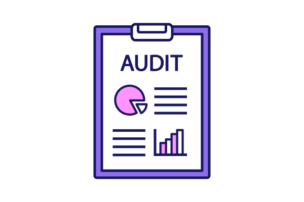 illustration of audit file