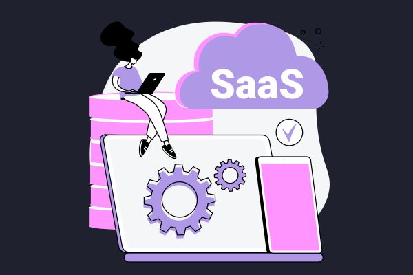 A woman with a laptop sitting on a database with a SaaS cloud next to it